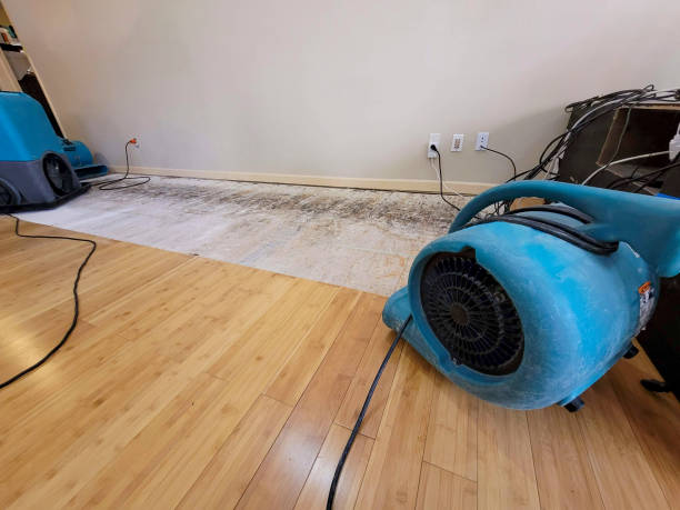 Professional Basement Flood Cleanup technician working in Stephentown, NY